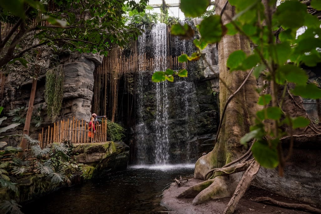 Give the nature lover in your life tickets to the Henry Doorly Zoo