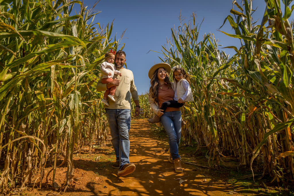 Corn Maze Patterson Farm