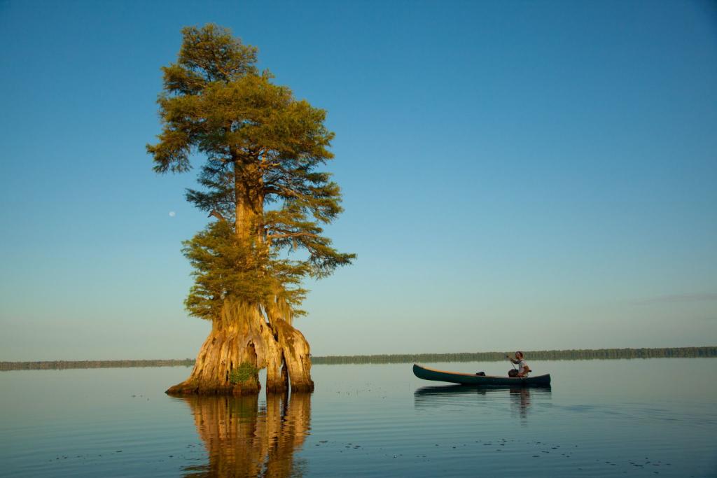 Great Dismal Swamp