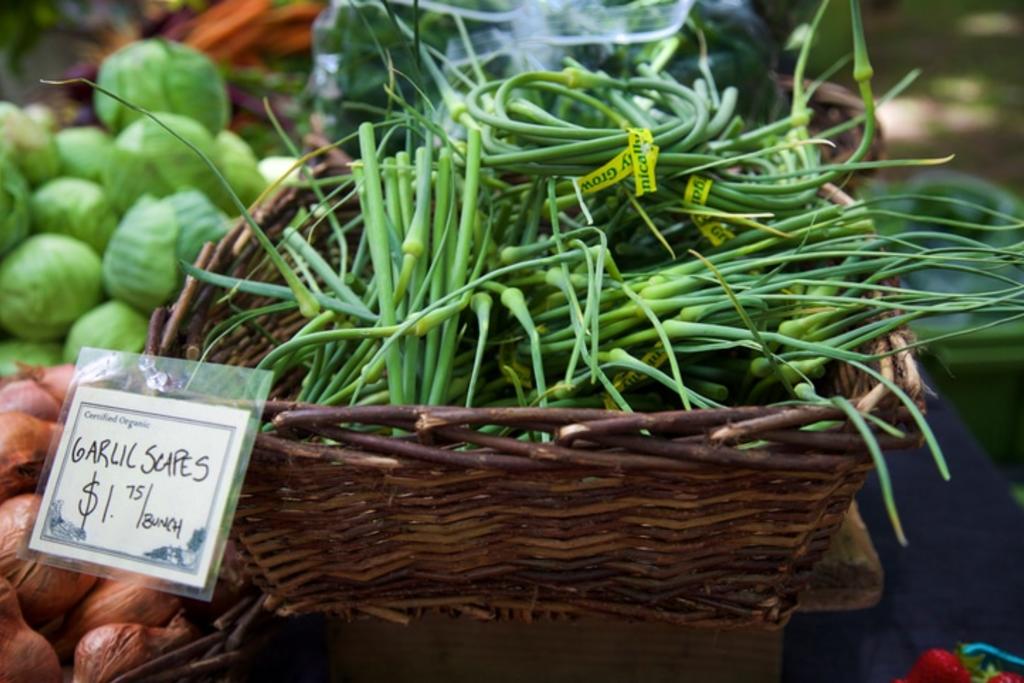 Garlic Scapes