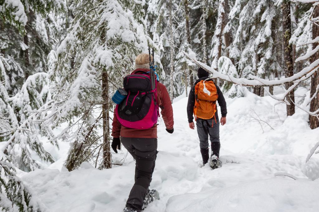 Snowshoe