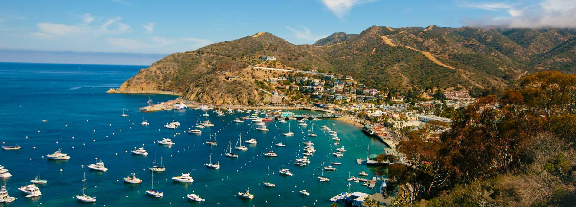Image result for Catalina Island