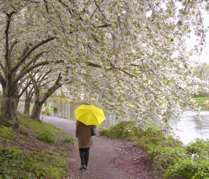 Spring Walk at Alton Baker Park by Guenther Fuernsteiner Spring Walk at Alton Baker Park by Guenther Fuernsteiner