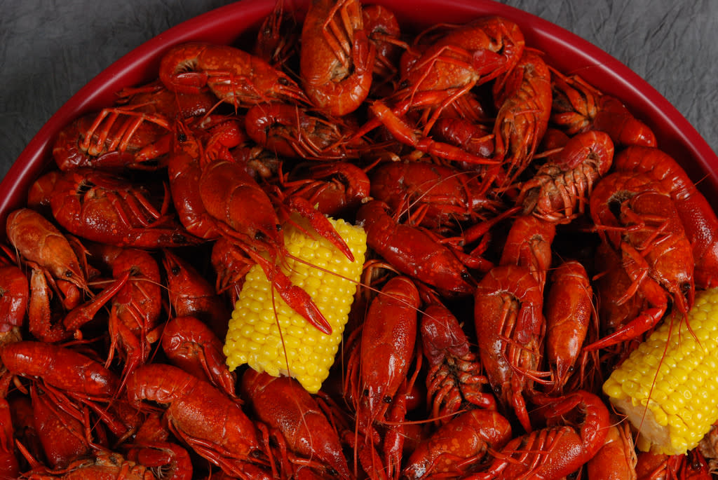 Crawfish 2