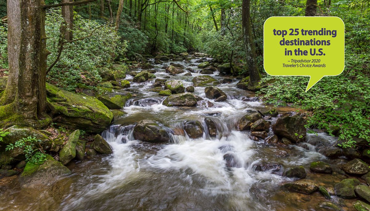 Accolade Bubble Image - Middle Saluda River