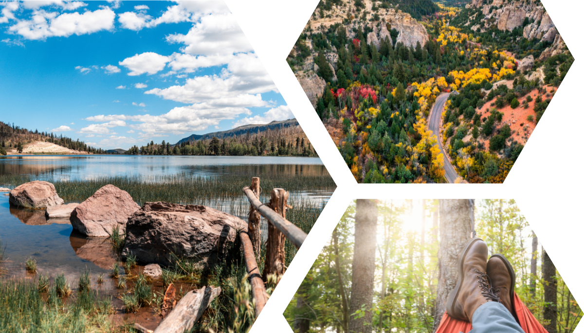 Yankee Meadow Highlight - Blog