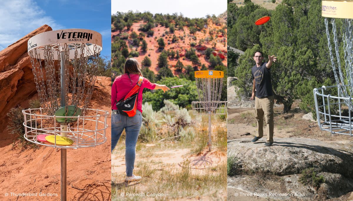 Area Disc Golf (except Brian Head - out of season)