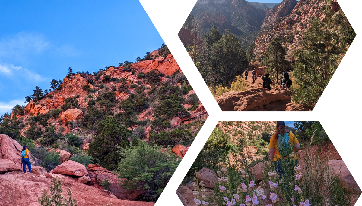 Red Hollow Trail Highlight - Blog