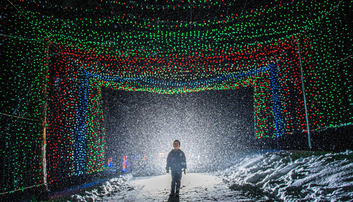 Festival Lights Child