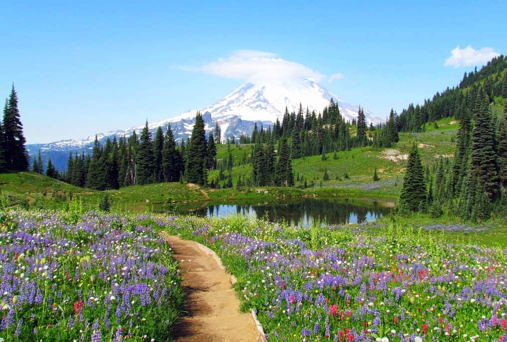 Naches Peaks Loop at Mt Rainier