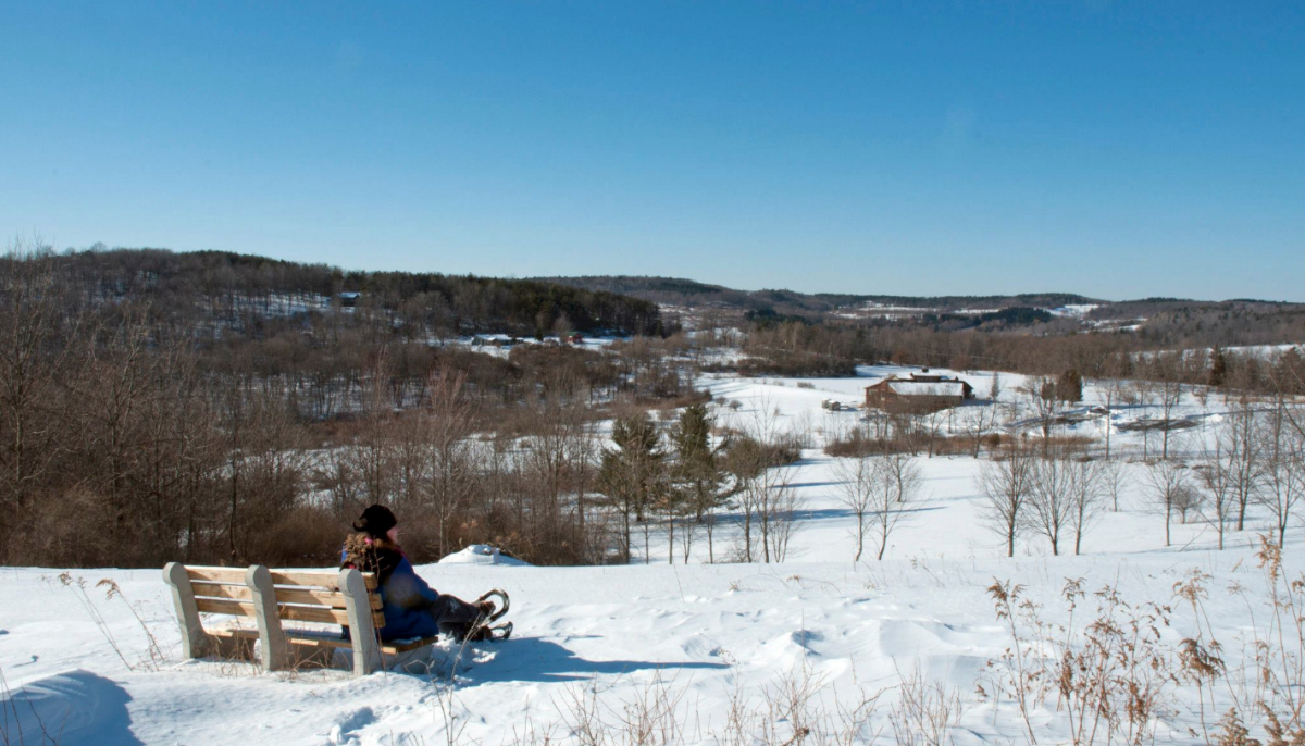 Tanglewood Nature Center in winter Finger Lakes Wine Country