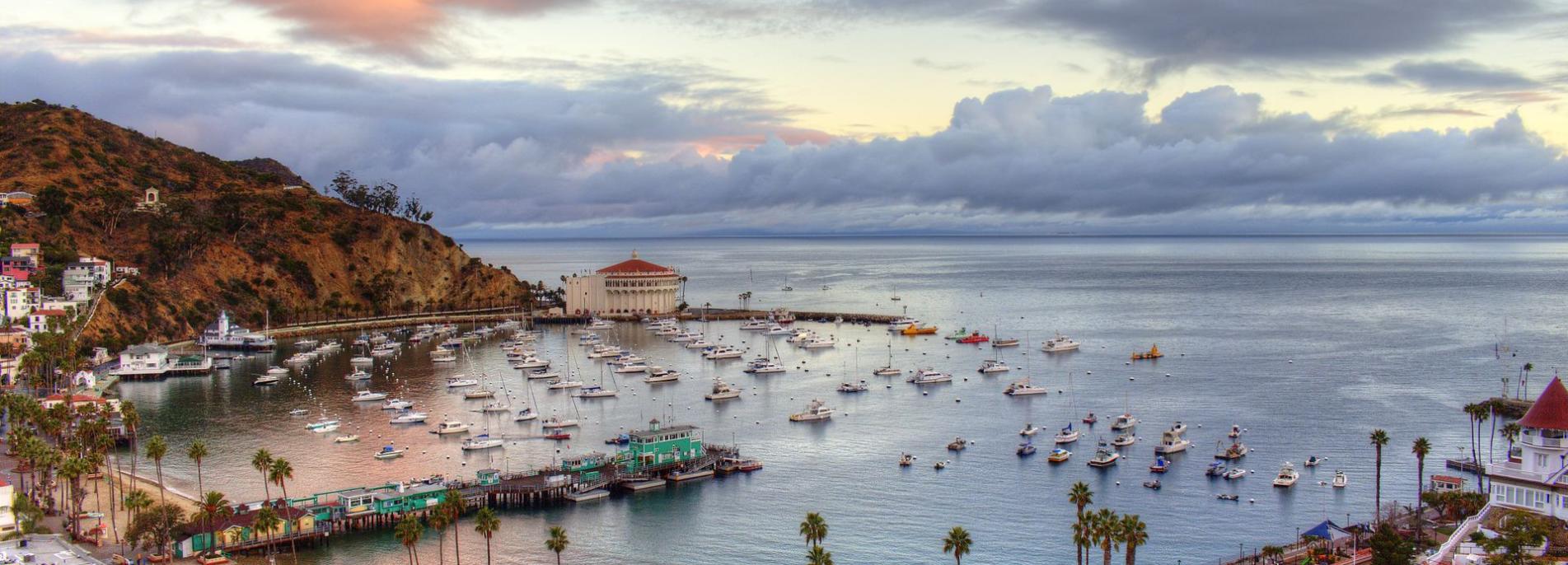 The 2019 Catalina Island Bucket List