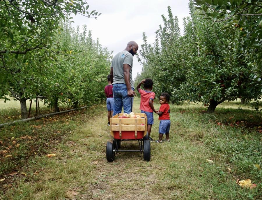 Zenovia Family Apple Picking