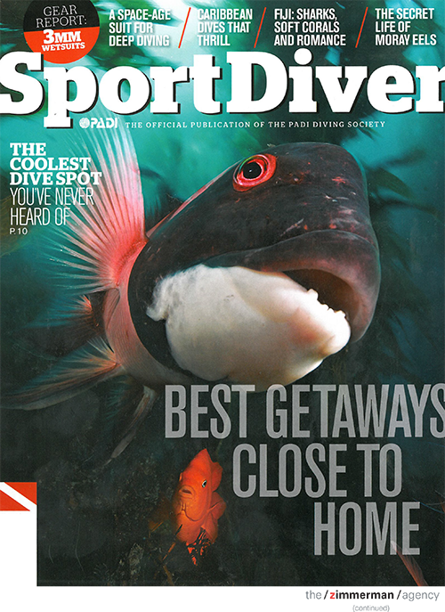 Sport Diver