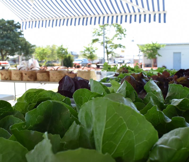 Farmers' Markets in the Grand Strand offering local produce and crafts in the Spring and Summer months.
