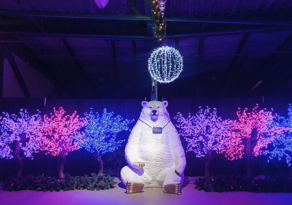 Events On Christmas Eve 2022 Sugarland Ultimate Guide To Holidays In Sugar Land | Christmas 2021