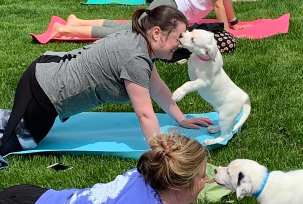 Yoga with Puppies