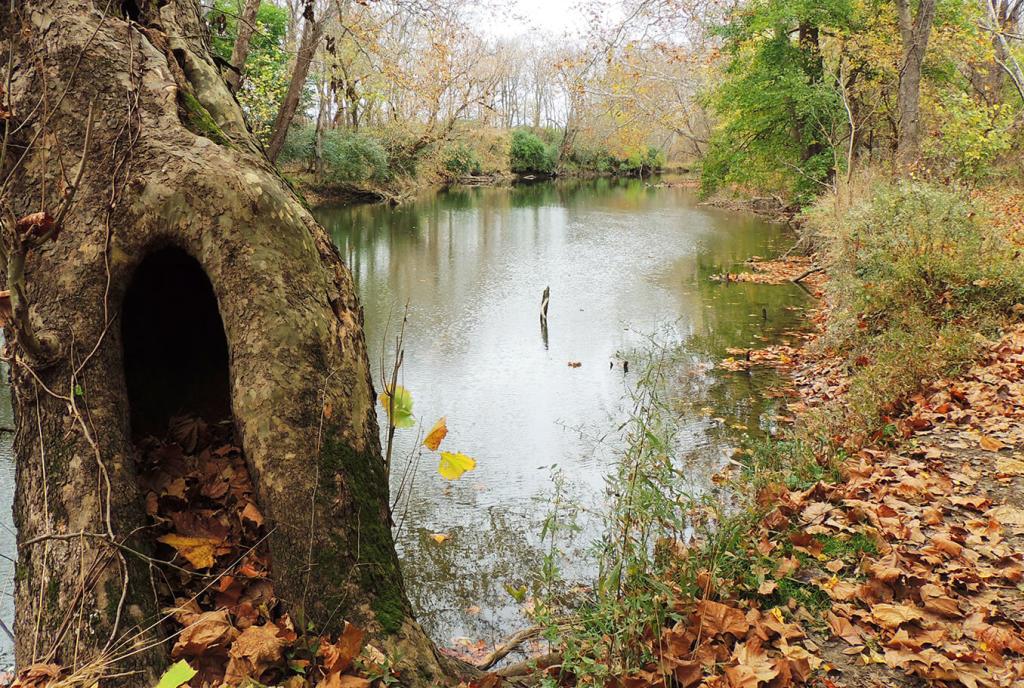 Glenn Thompson Reserve