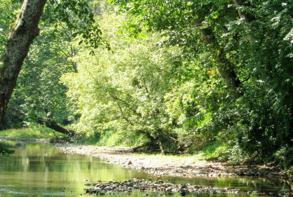 Jacoby Road Canoe Launch