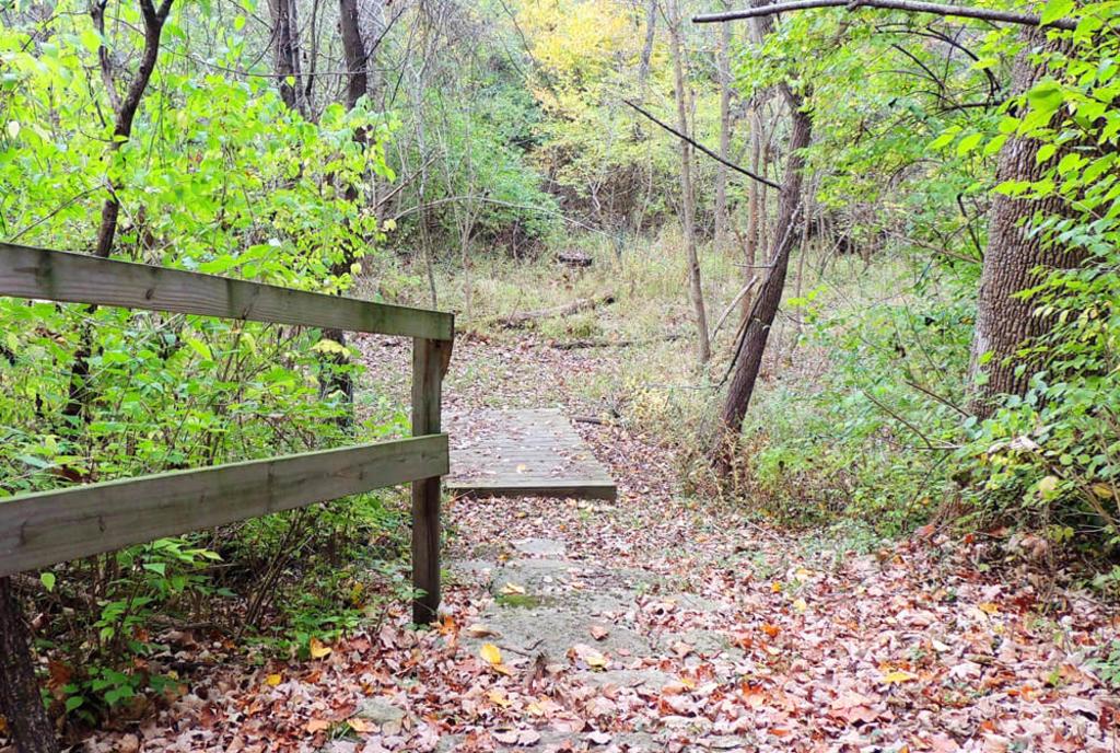 Kinsey Road Mound