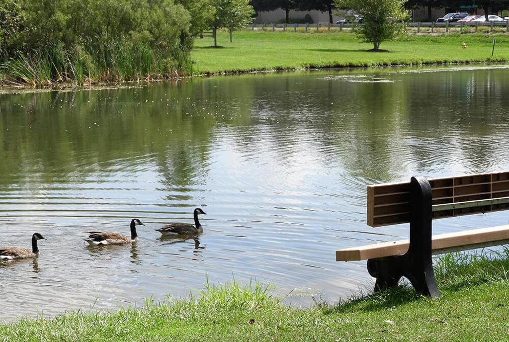 Phillips Park