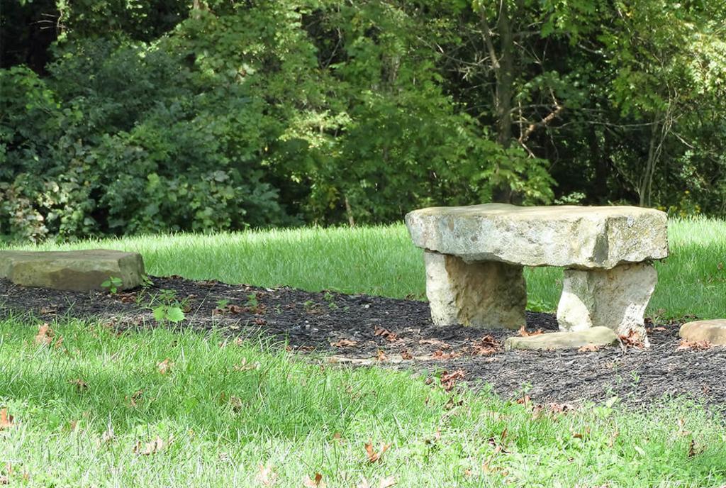 Phillips Park