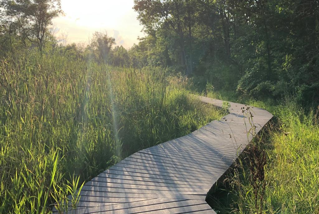 Sara Lee Arnovitz Nature Preserve