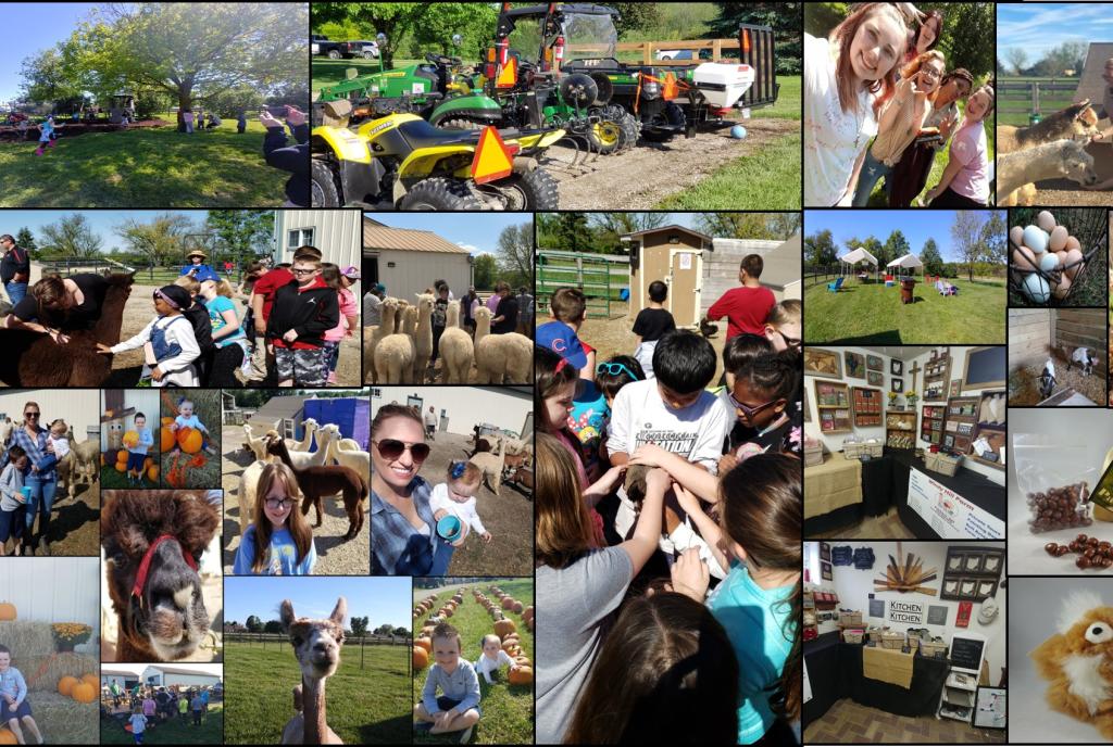Farm Day - Open To Public!