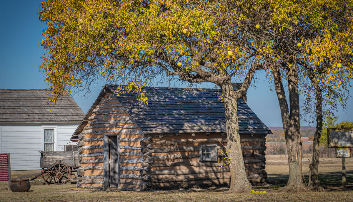 log cabin under an autumn tree