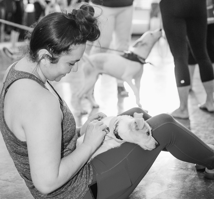 Puppy Yoga Satya Dallas