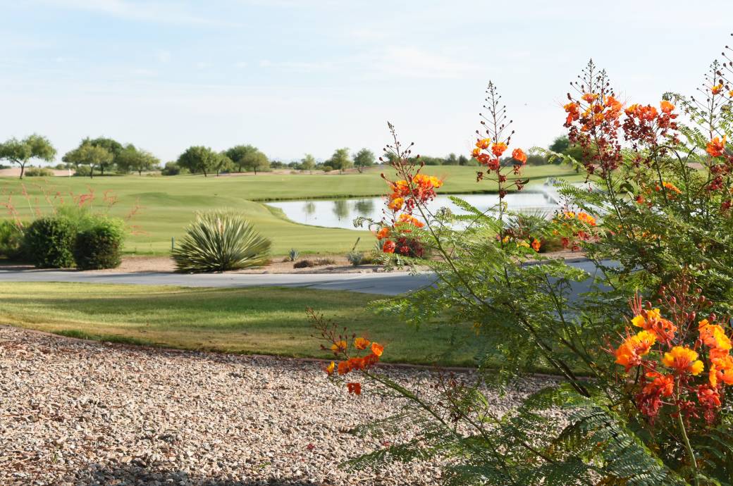 Bear Creek Golf Complex