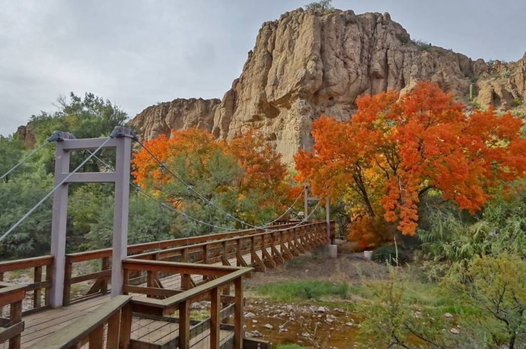 Boyce Thompson Arboretum State Park