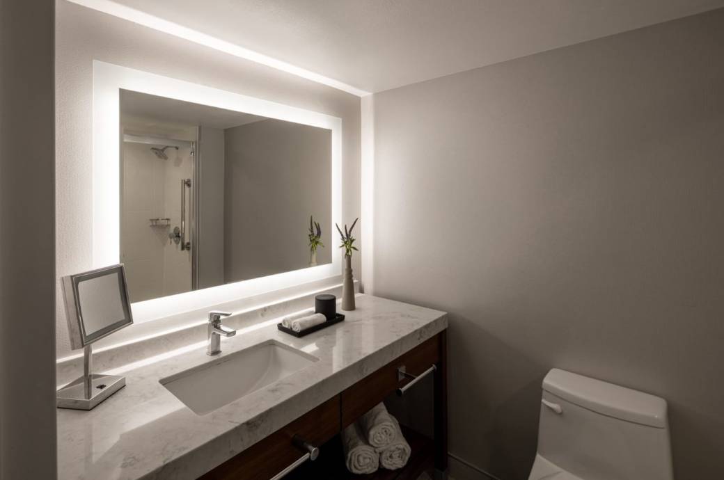 Crowne Plaza San Marcos Golf Resort Standard Bathroom