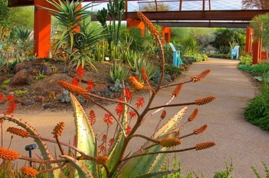 Sybil B. Harrington Cactus & Succulent Galleries at the Desert Botanical Garden