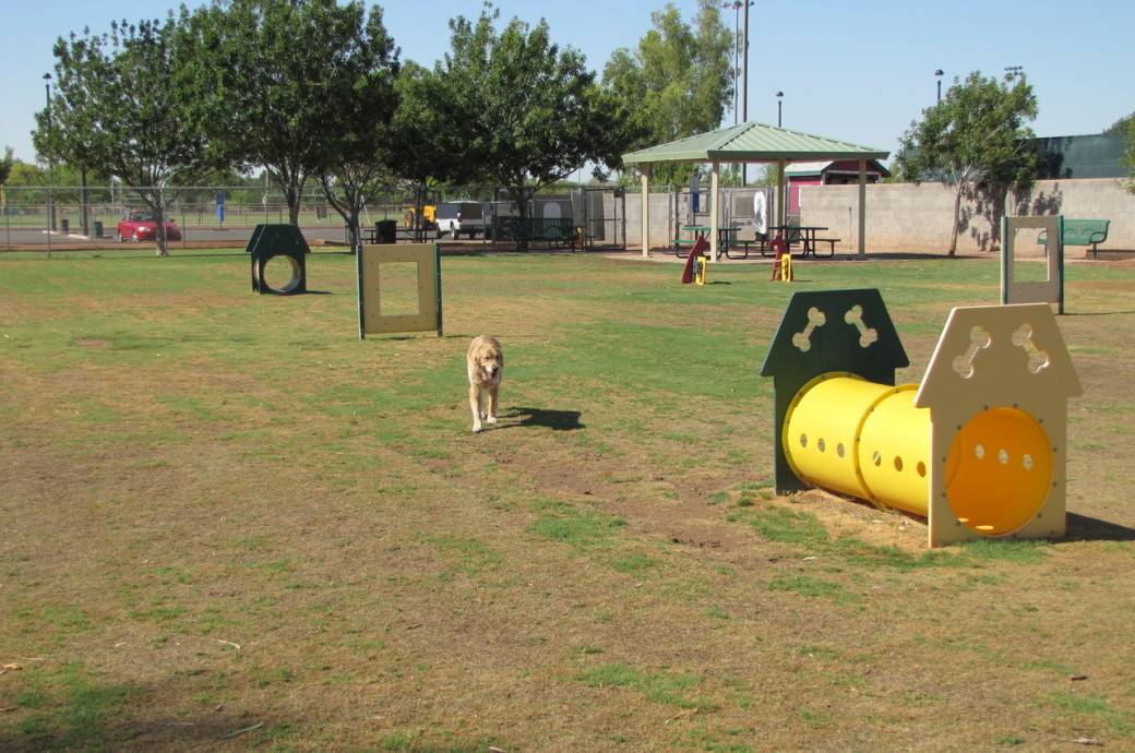 Snedigar Dog Bark