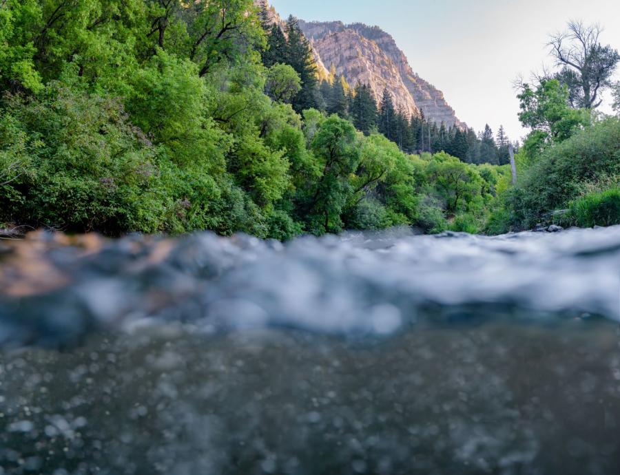 Provo River