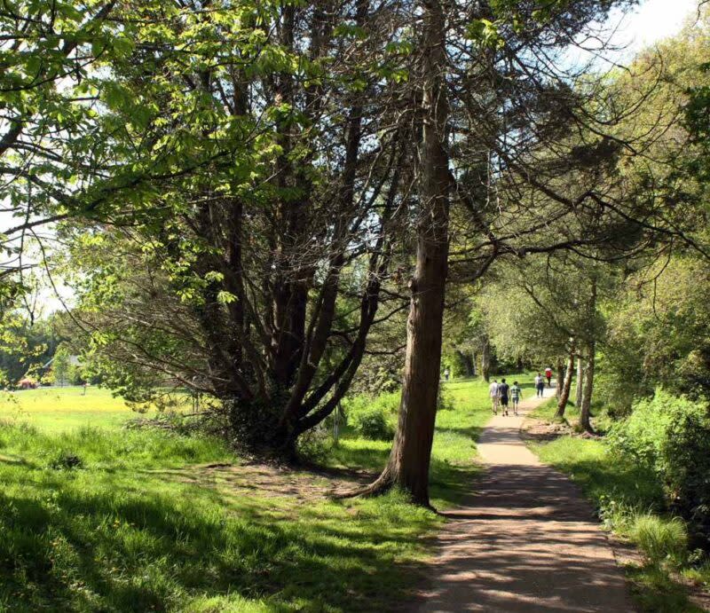 Singleton Park