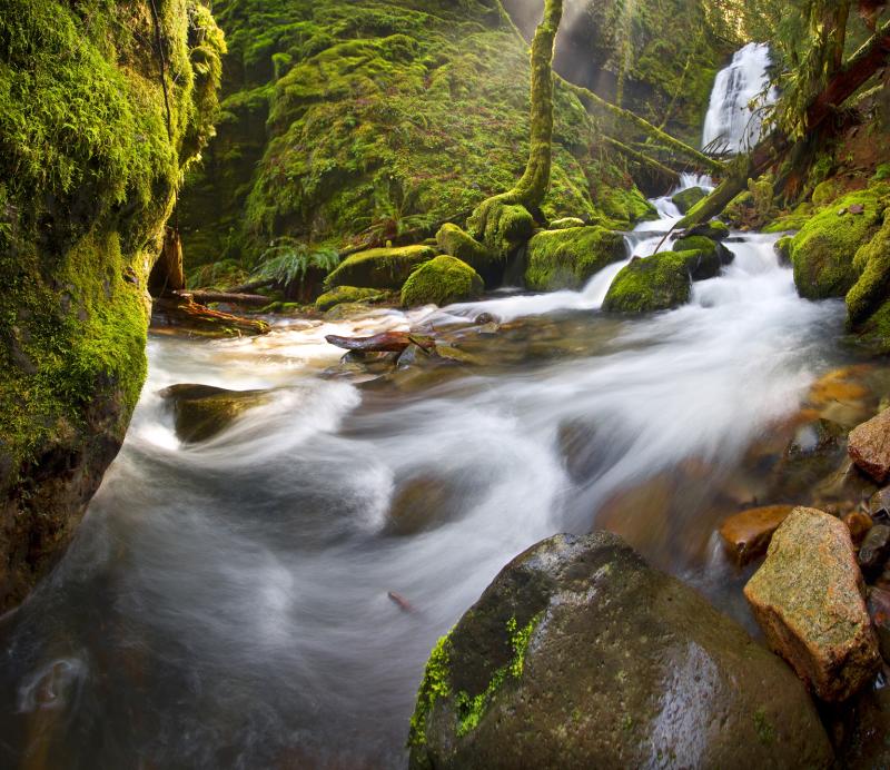 Bridge Creek Rush by David Putzier Bridge Creek Rush by David Putzier