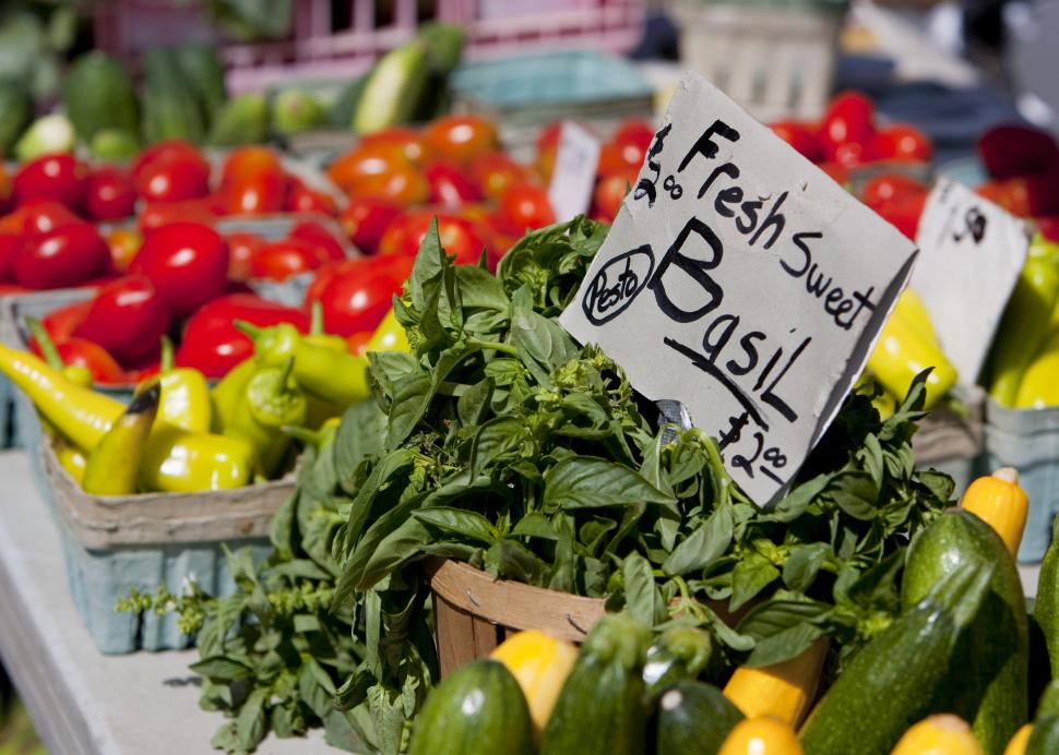 Port Byron Farmers Market