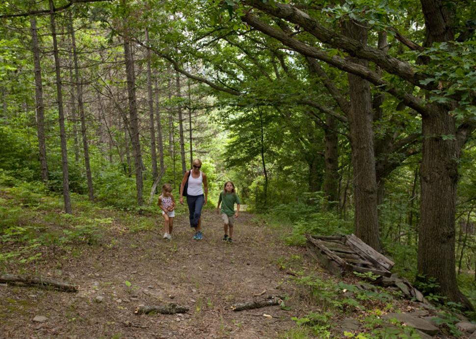 Family hiking on trail up hill
