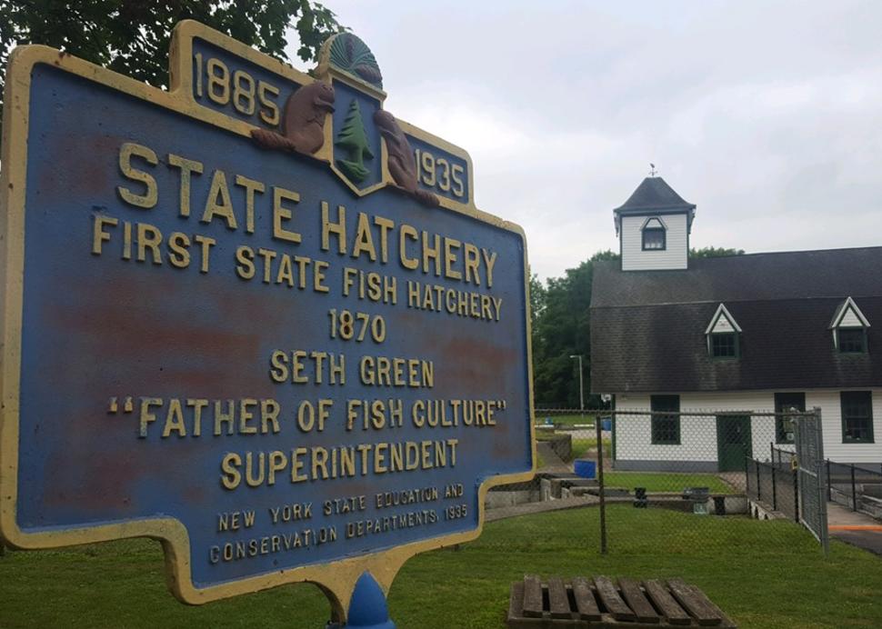 Caledonia Fish Hatchery 2