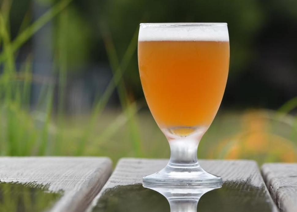 IPA on the Patio
