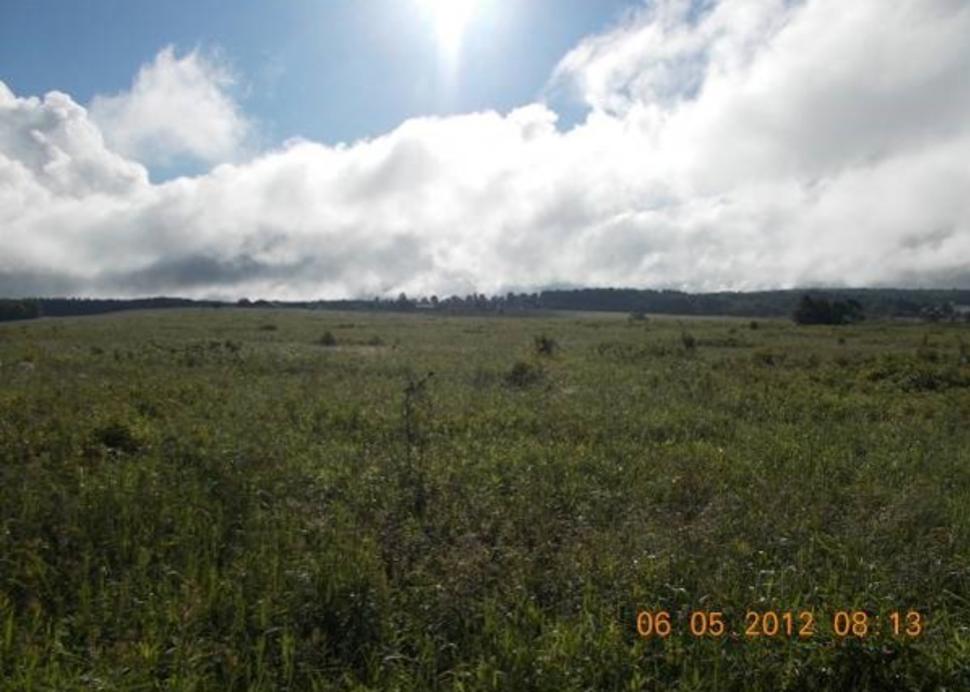 Finger Lakes National Forests -  Photo Courtesy of Finger Lakes National Forest