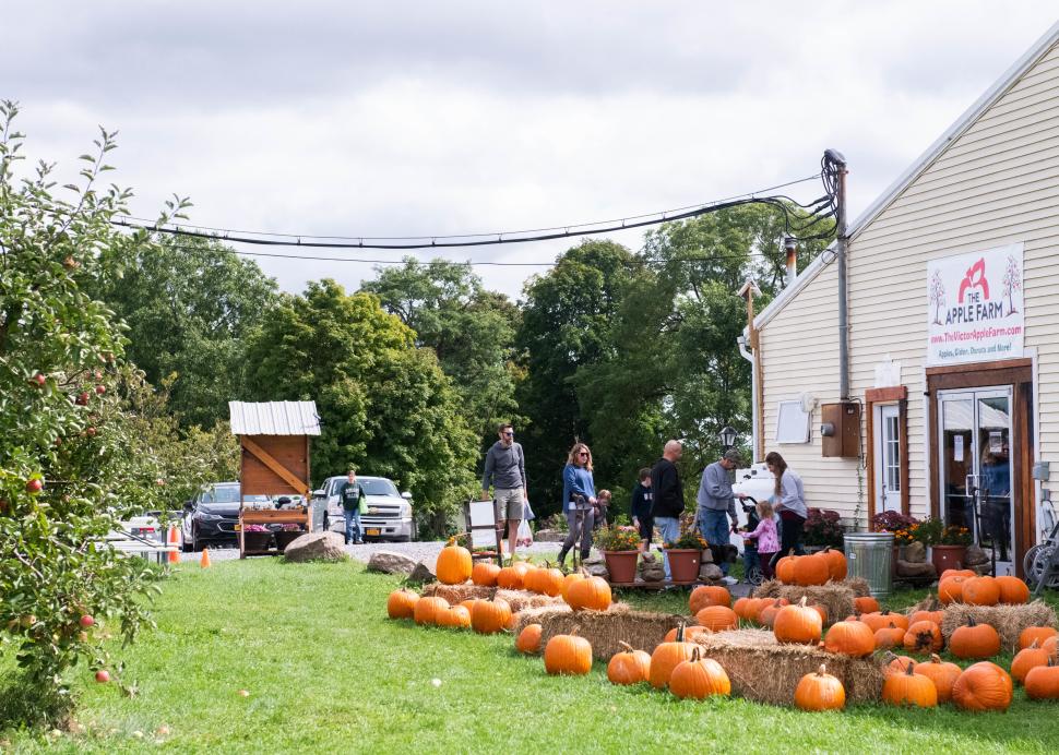 Exterior of the Apple Farm during a beautiful fall day