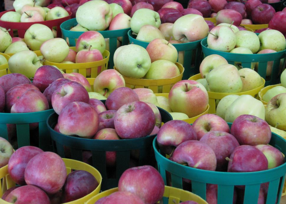 Wayne County apple bounty