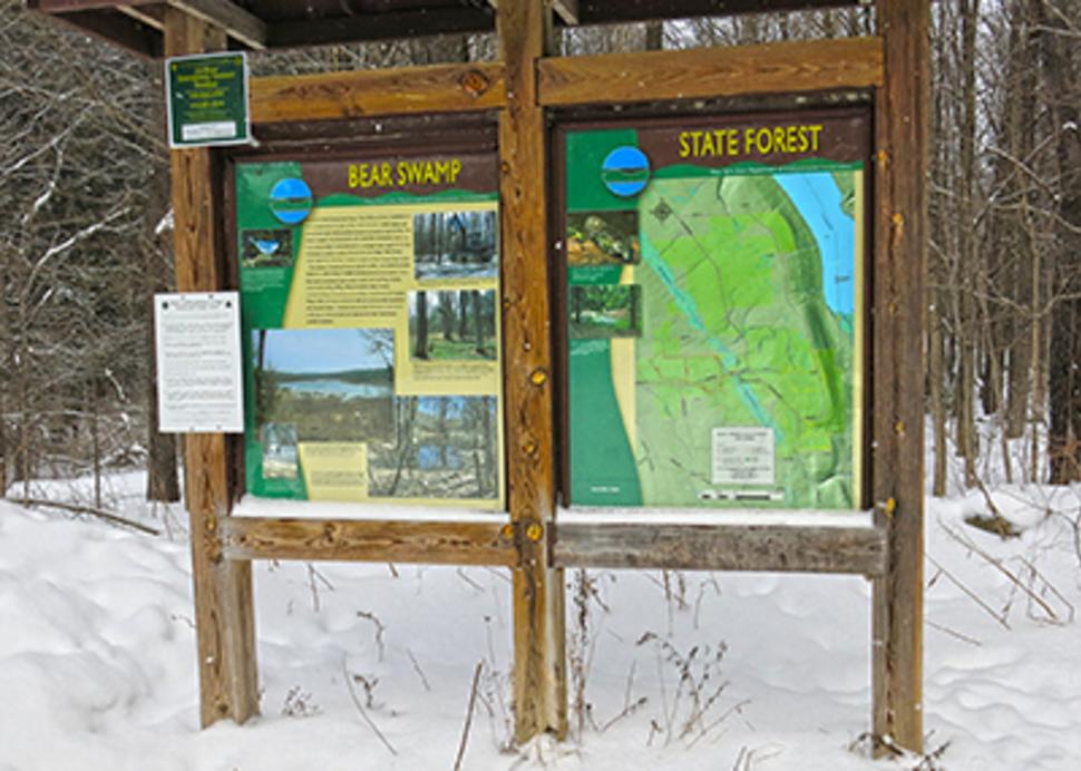 Bear Swamp State Forest in the Winter