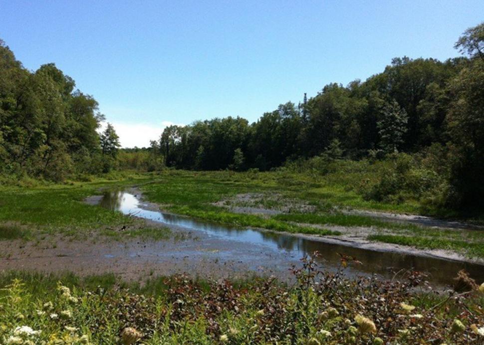 Bear Swamp State Forest