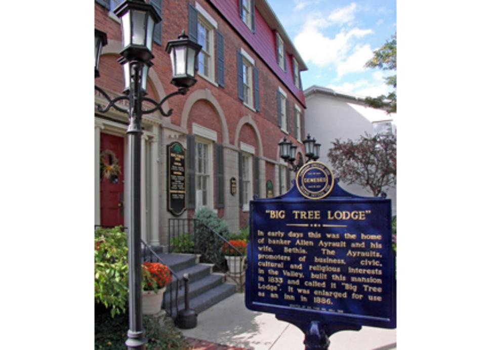 Big Tree Lounge