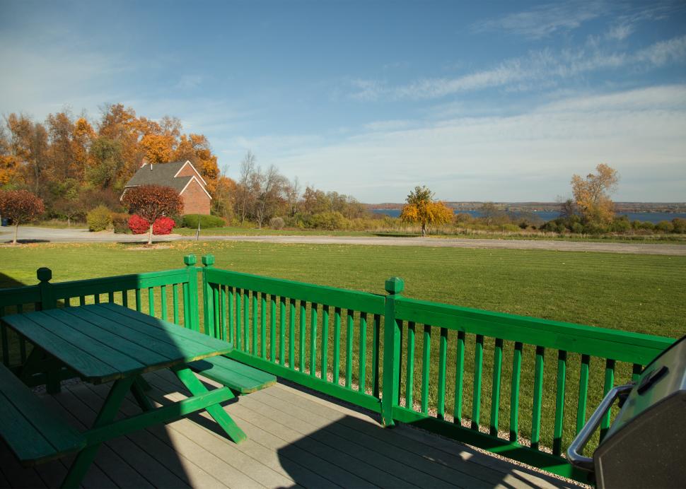Cayuga Lake view
