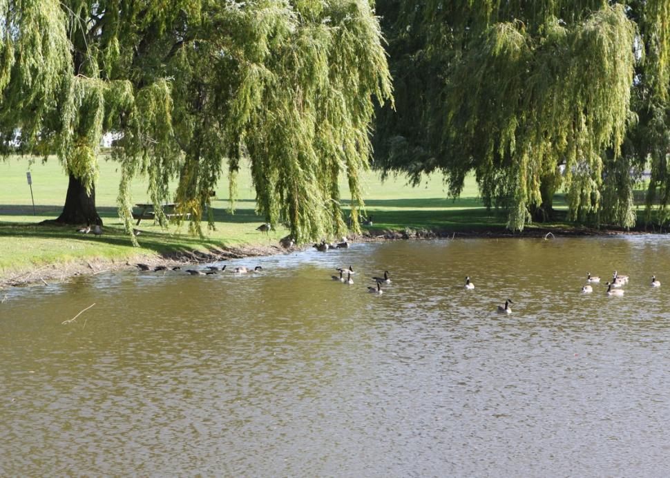 Duck pond and picnic area at Canandaigua Lake Marine Park
